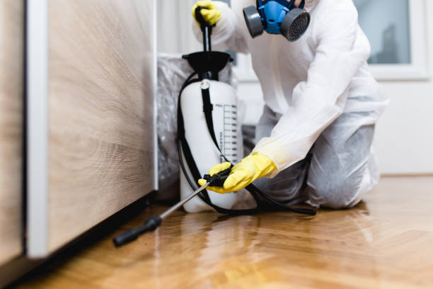 Professional Pest Control in Maysville, KY