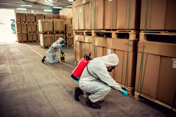 Best Pest Removal Services  in Maysville, KY