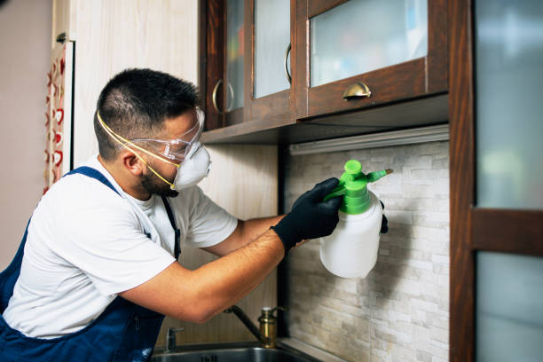 Best Termite Control Services  in Maysville, KY