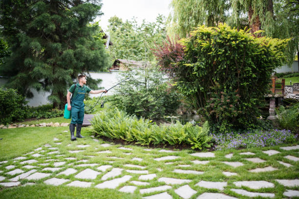 Best Pest Prevention Services  in Maysville, KY