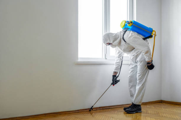 Flea Control Services in Maysville, KY
